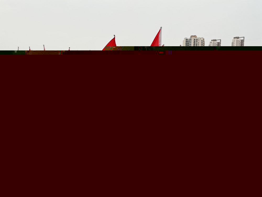 2.紅旗隊(duì)